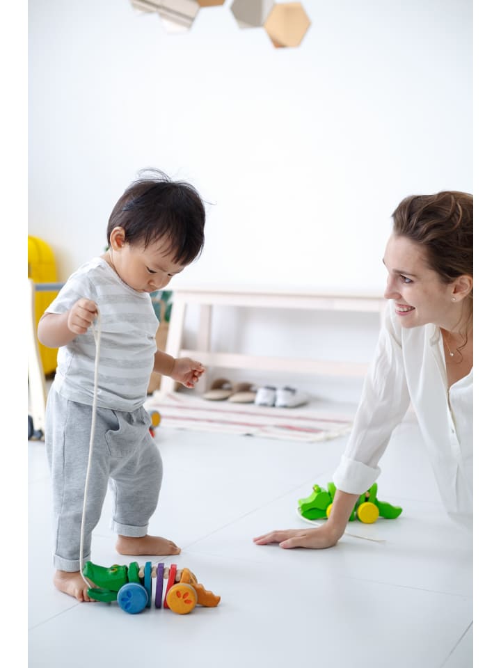 Plan Toys Regenbogen Krokodil ab 12 Monate günstig kaufen onesize