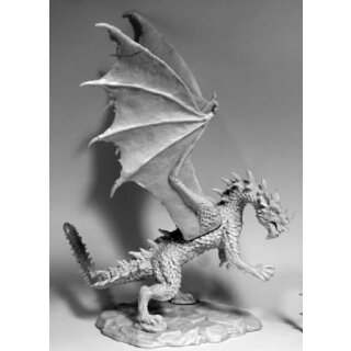 Stormwing Dragon