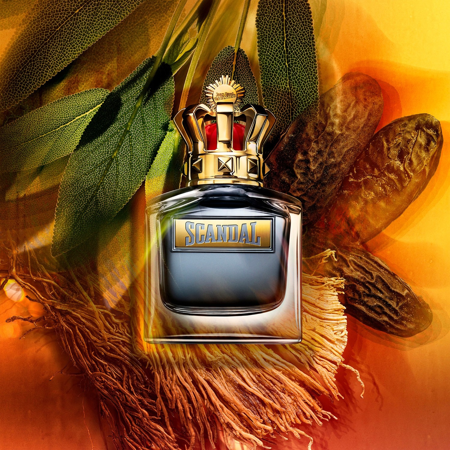 Scandal Homme