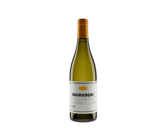 Domaine Louis Chenu Père & Filles Bourgogne Blanc 2018
