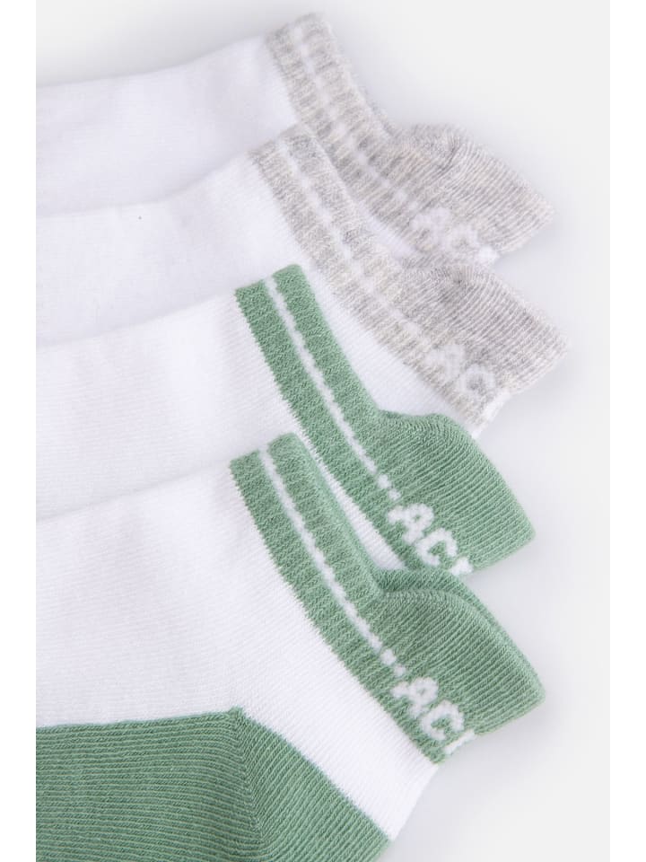 Coccodrillo Socken in bunt günstig kaufen