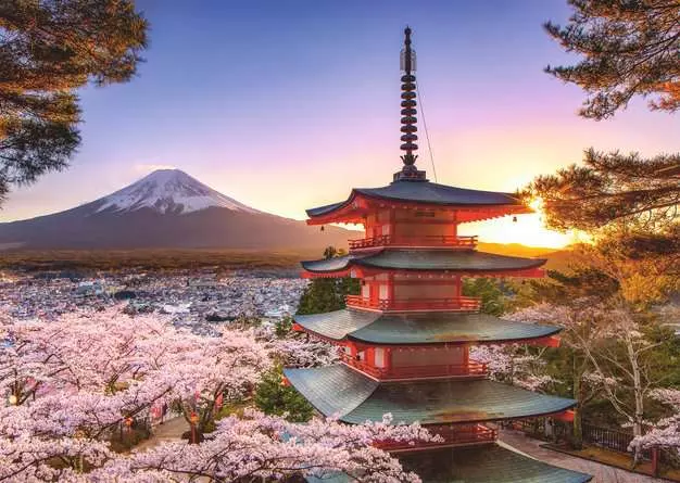 Puzzle 1000 Teile - Kirschblüte in Japan