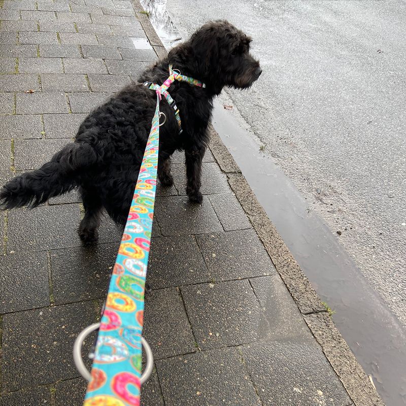 Max & Molly H-G﻿eschirr Donuts zu TOP-Preisen