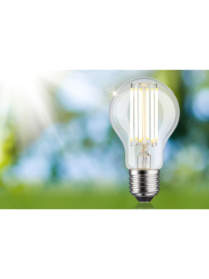 paulmann Eco-Line Filament 230V LED Birne 1er-Set A günstig kaufen onesize