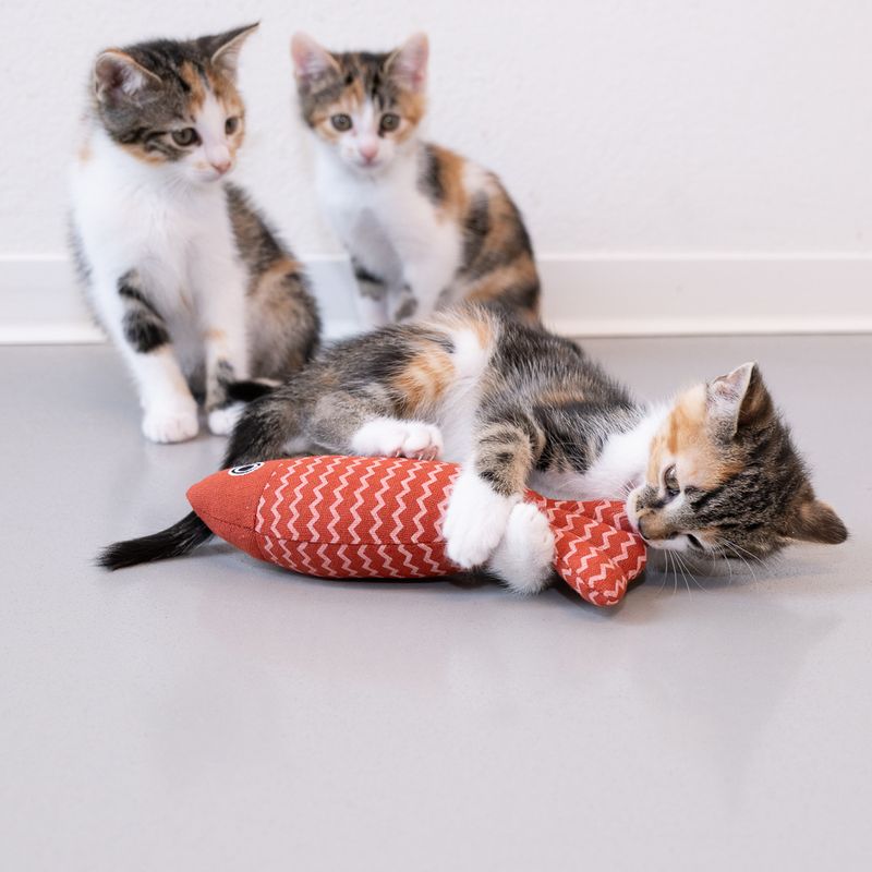 Modern Living Katzenspielzeug Cadaques Fisch
