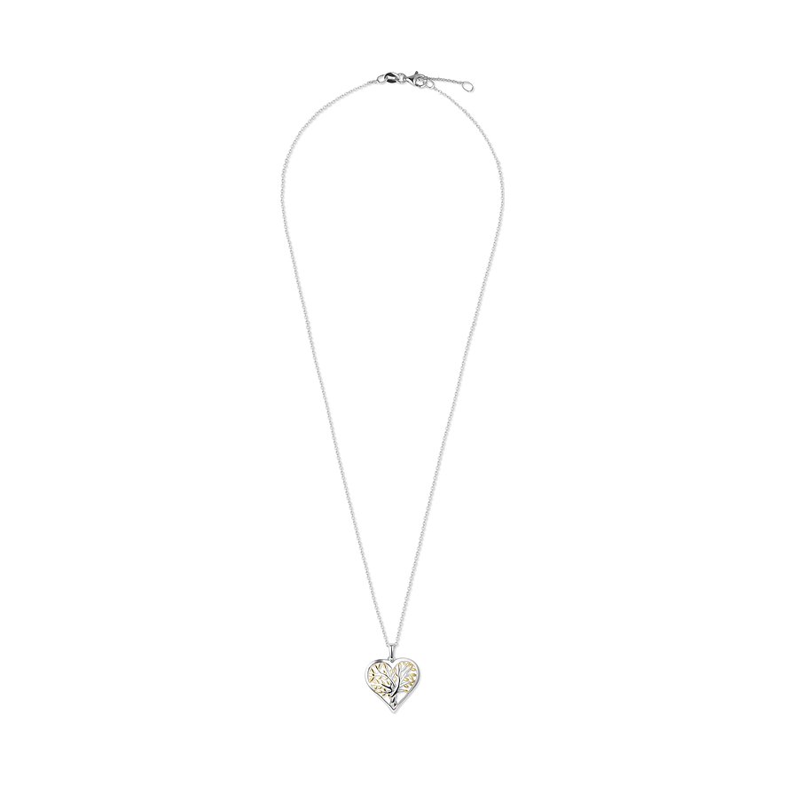 FAVS Kette