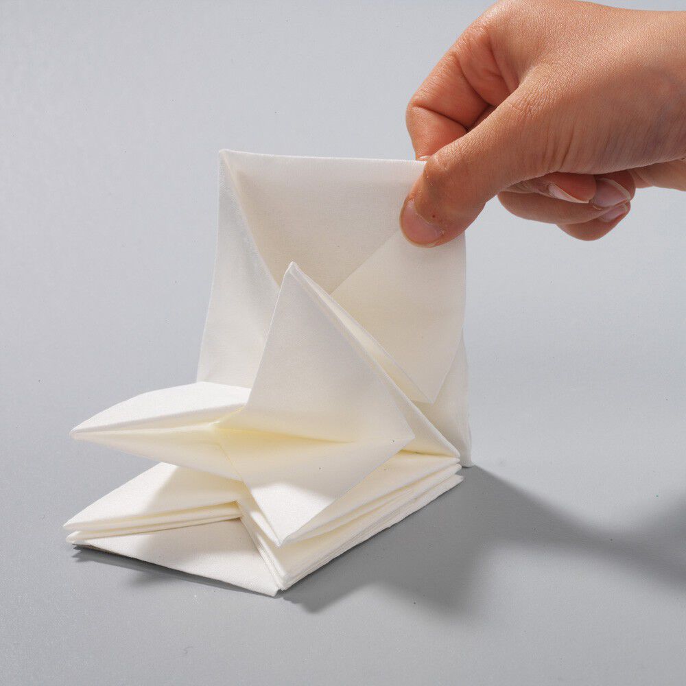 Lot de 12 serviettes prépliées