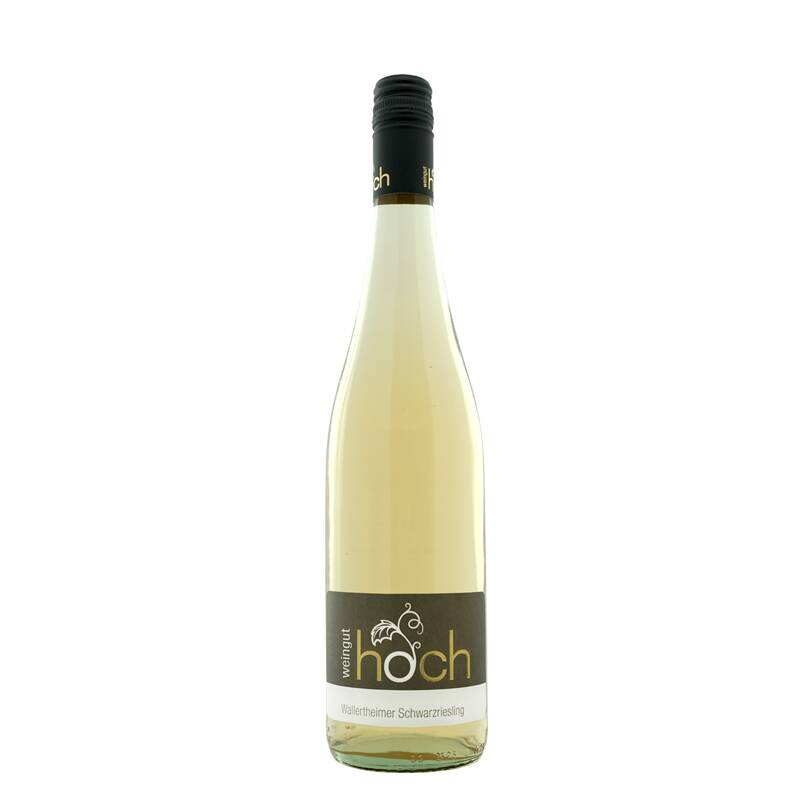 Weingut Hoch Wallertheimer Blanc de Noir Schwarzriesling Ortswein 2021