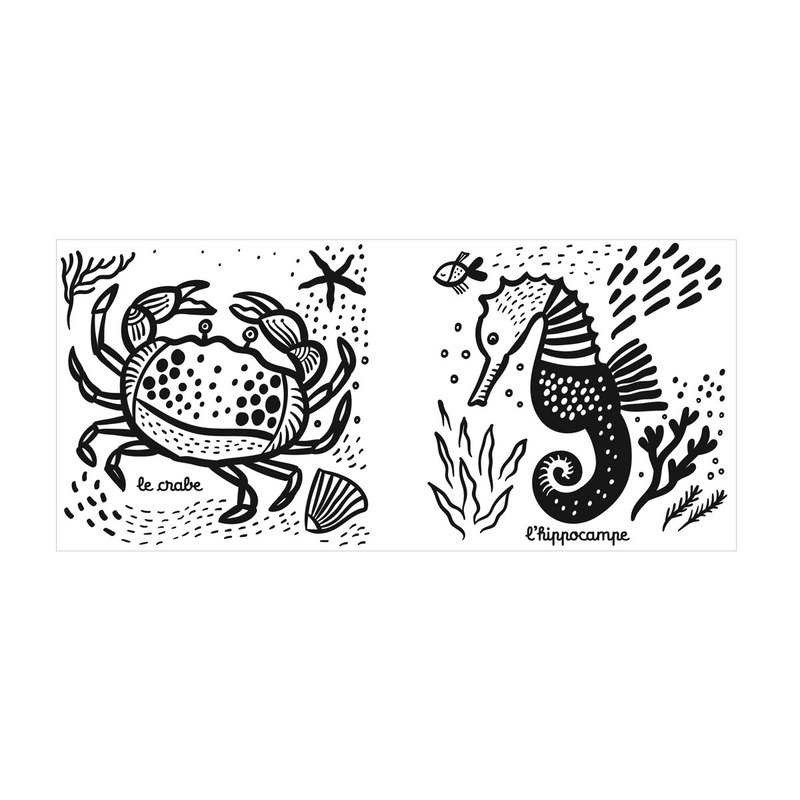 Livre Petite tortue et ses amis - Casterman