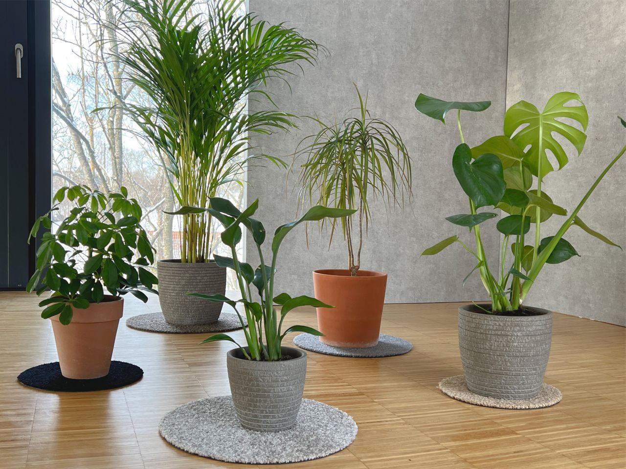 Keilbach Designprodukte Keilbach Blumentopf Unterlage, ⌀ 25,0 cm, sandfarben