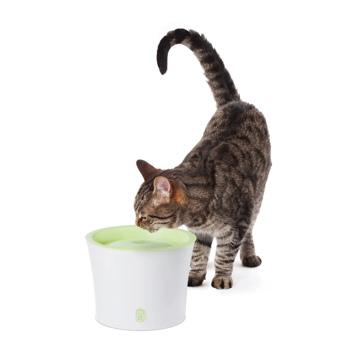 Catit Trinkbrunnen für Katzen und kleine Hunde 3l
