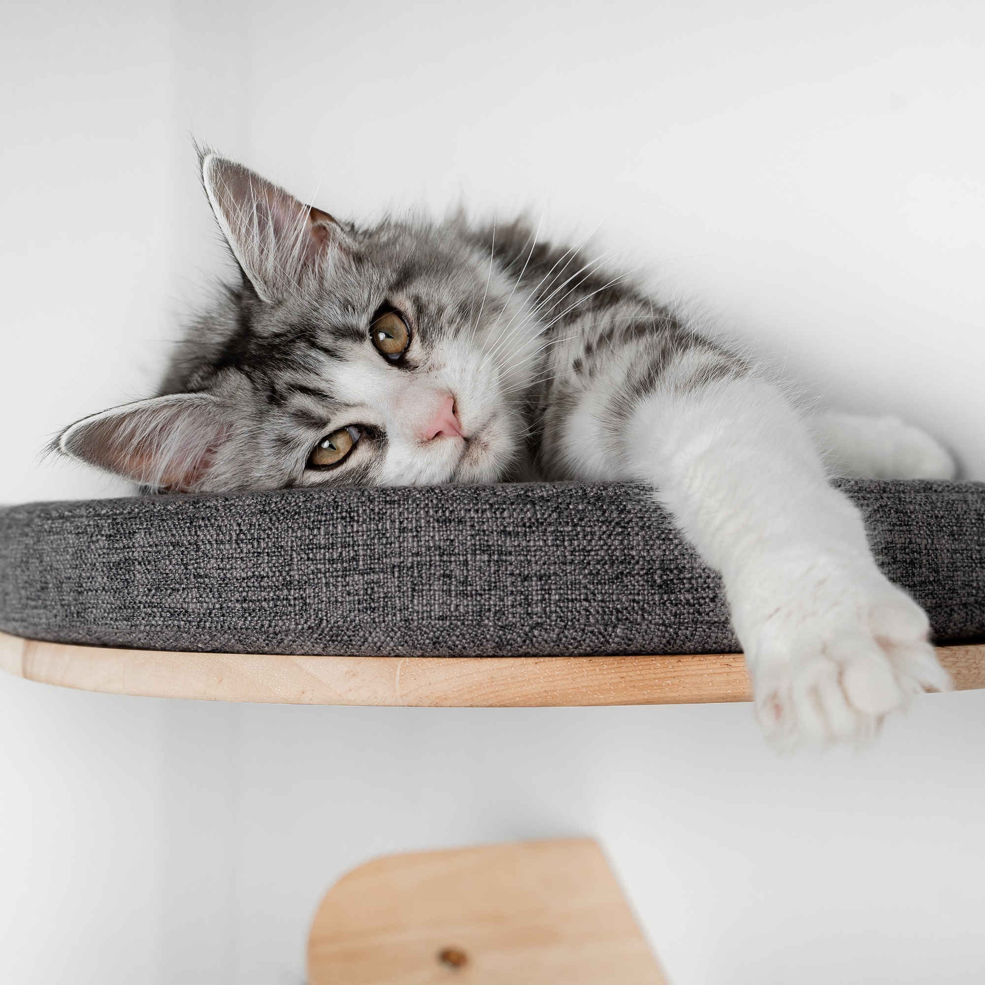 RHR Quality Katzenbetten & Katzensofas RHR Quality RHRQuality Wandmöbel Katzenbett de Luxe beige/ grau