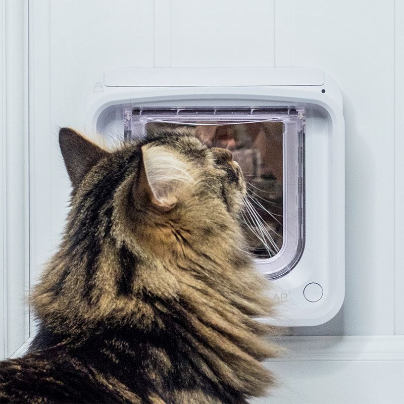 Sureflap Mikrochip Katzenklappe Connect zu TOP-Preisen | bitiba %