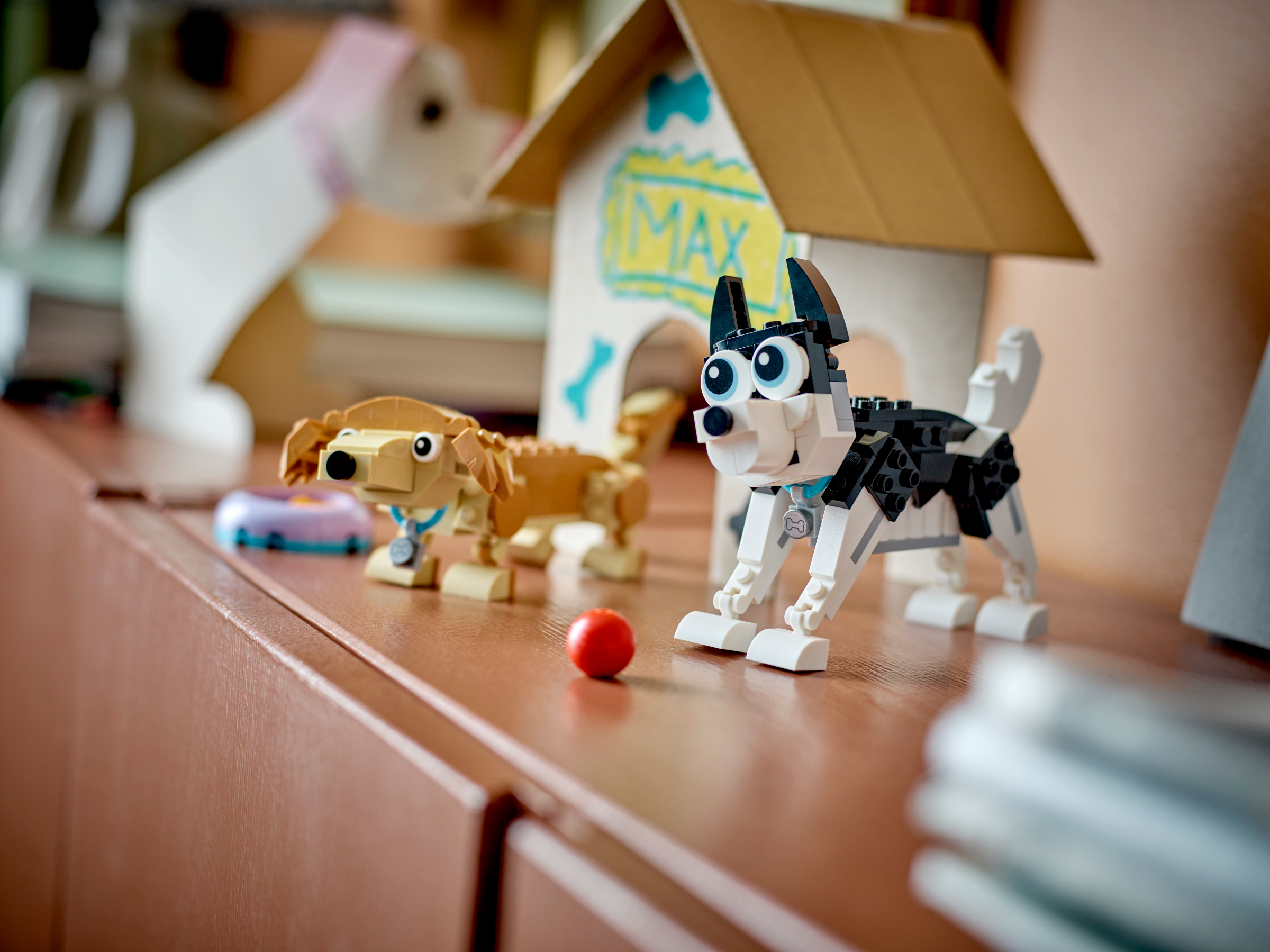 Niedliche Hunde 31137