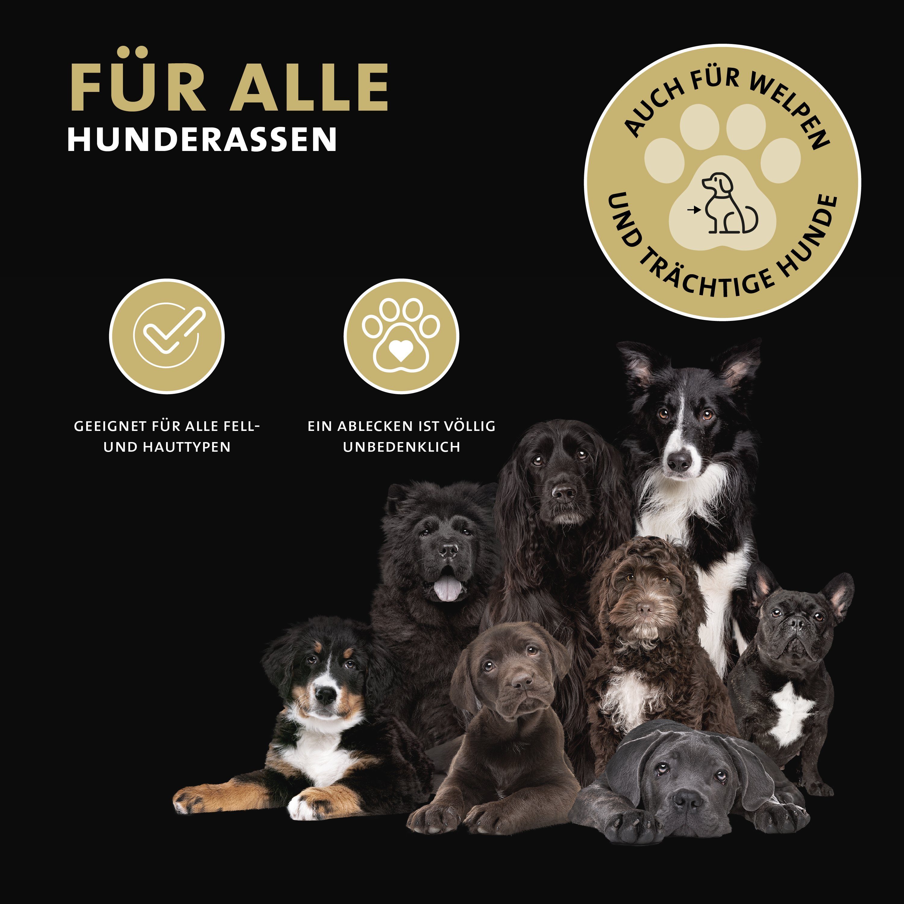 Peticare Insektenspray petDog Health 2108 - Ohrmilben, Ohrräude Lotion für Hunde, 50 ml