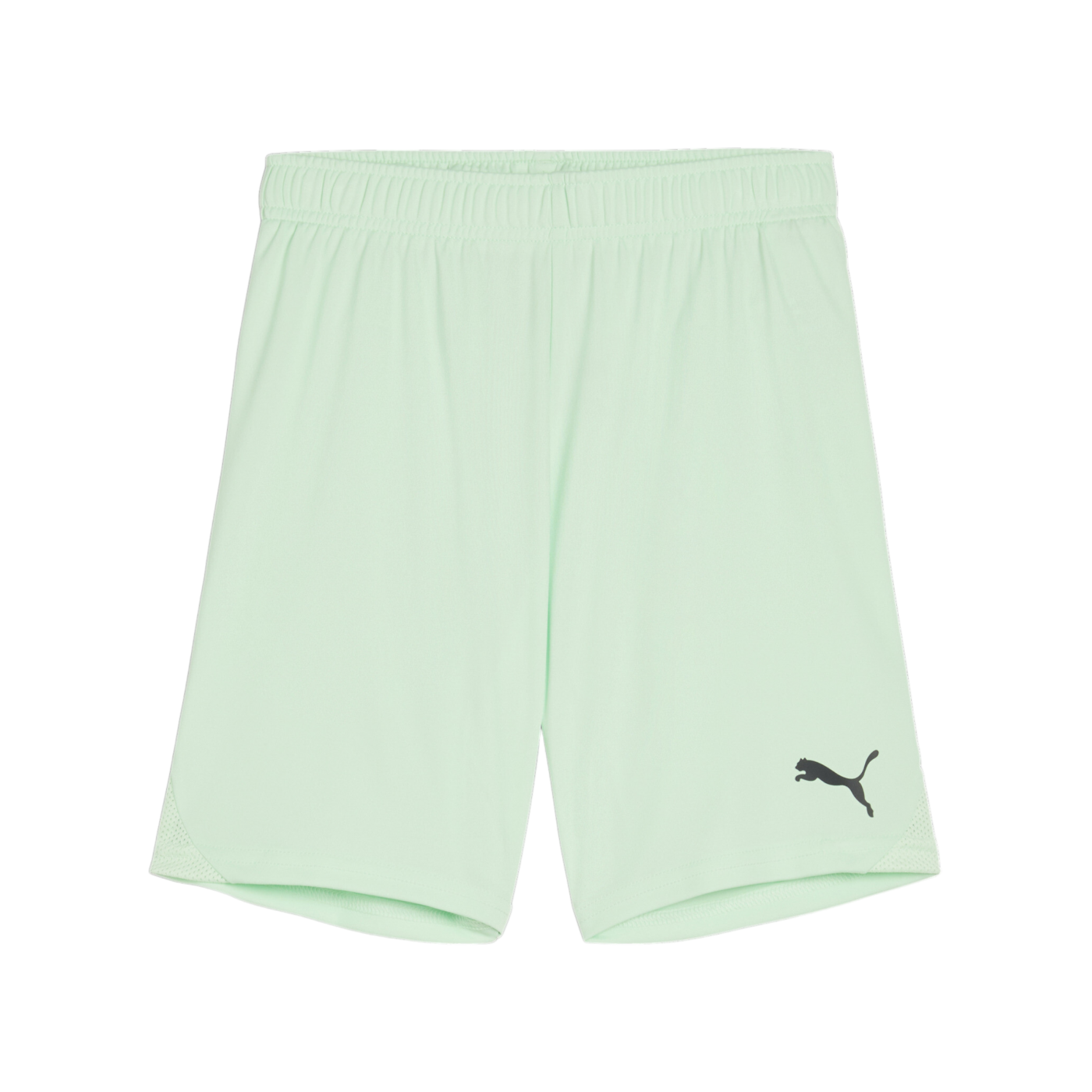PUMA teamGOAL Short Kids Grün Schwarz F60