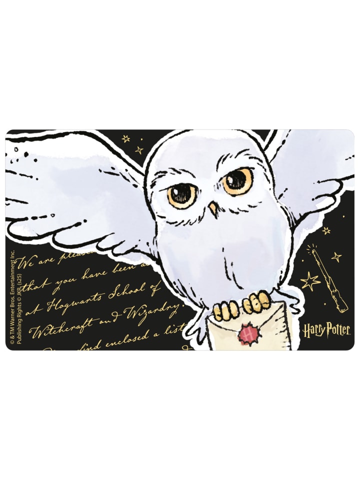 Harry Potter Harry Potter Brotdose Hedwig Eule Lunchbox Butterbrotdose Trennwand in schwarz günstig kaufen onesize