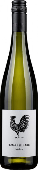2022 Grüner Veltliner Einstieg trocken - Weinhaus Franz Hahn