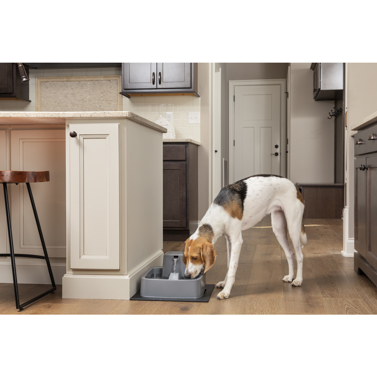 PetSafe Trinkbrunnen PetSafe Trinkbrunnen 3,7 l