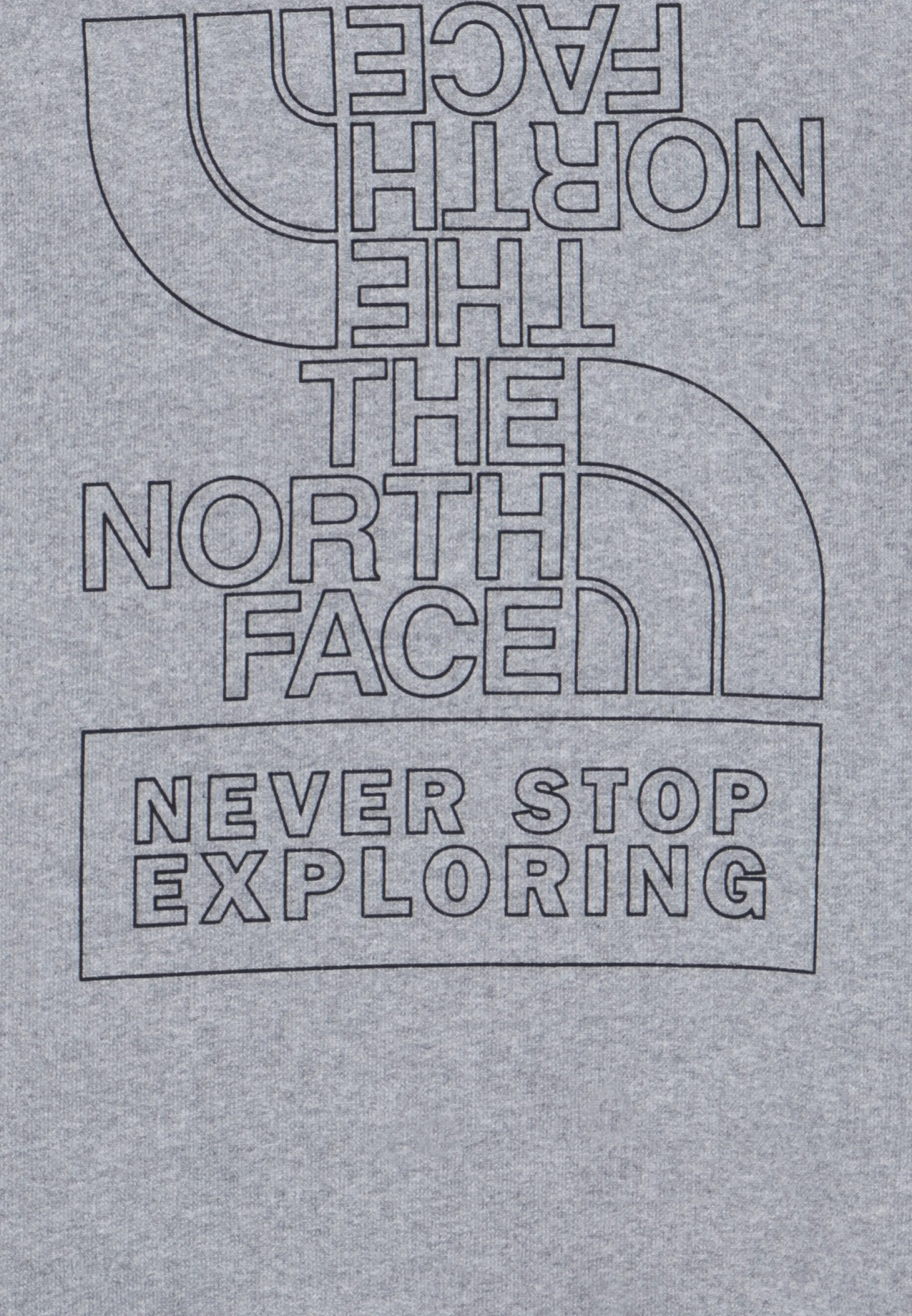 Sudadera unisex con capucha y estampado gráfico para adolescentes de The North Face