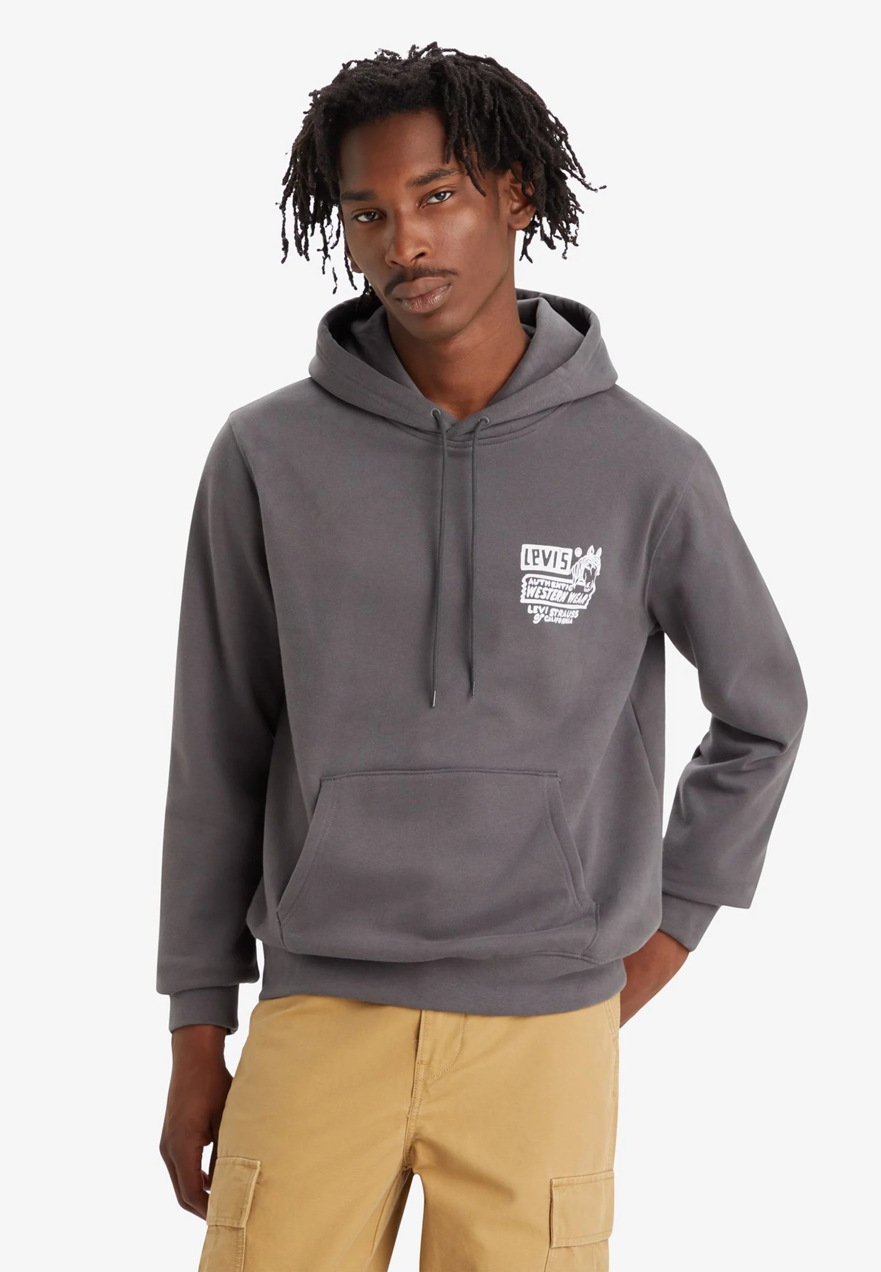 Sudadera con capucha Levi's® STANDARD GRAPHIC - Sudadera con capucha