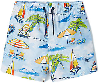 Board Shorts