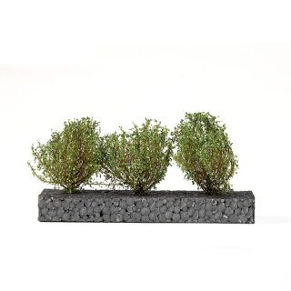 Dark Green Bushes 4-5cm (3)