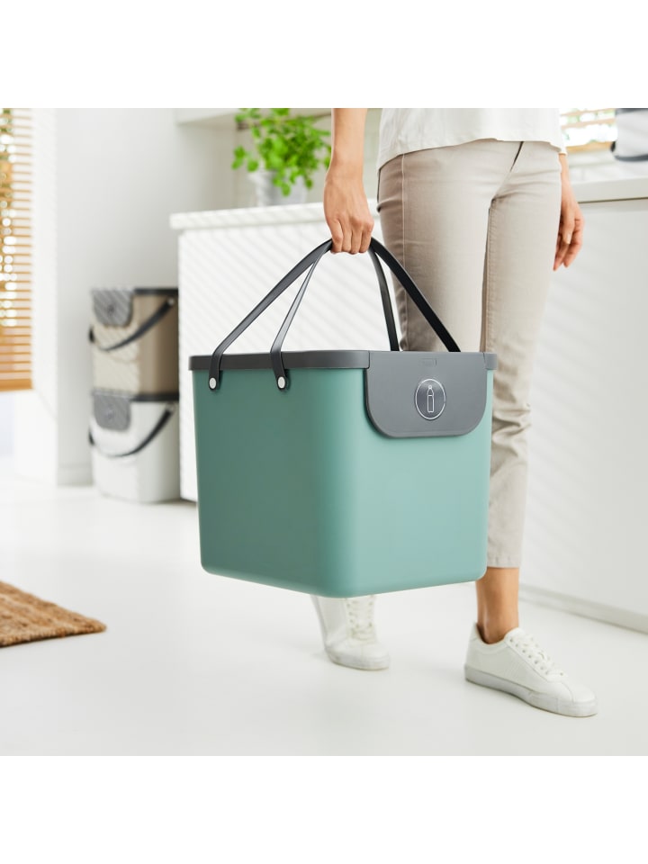Rotho Albula Mülltrennungssystem 40 l für die Küche in Mistletoe grün günstig kaufen onesize