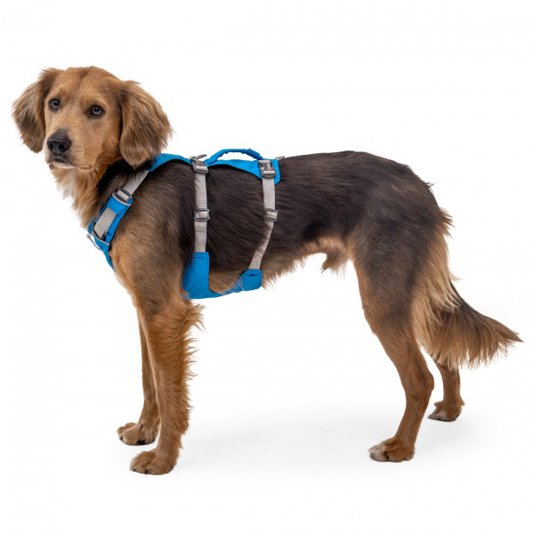 Ruffwear - Flagline Harness - Hundegeschirr
