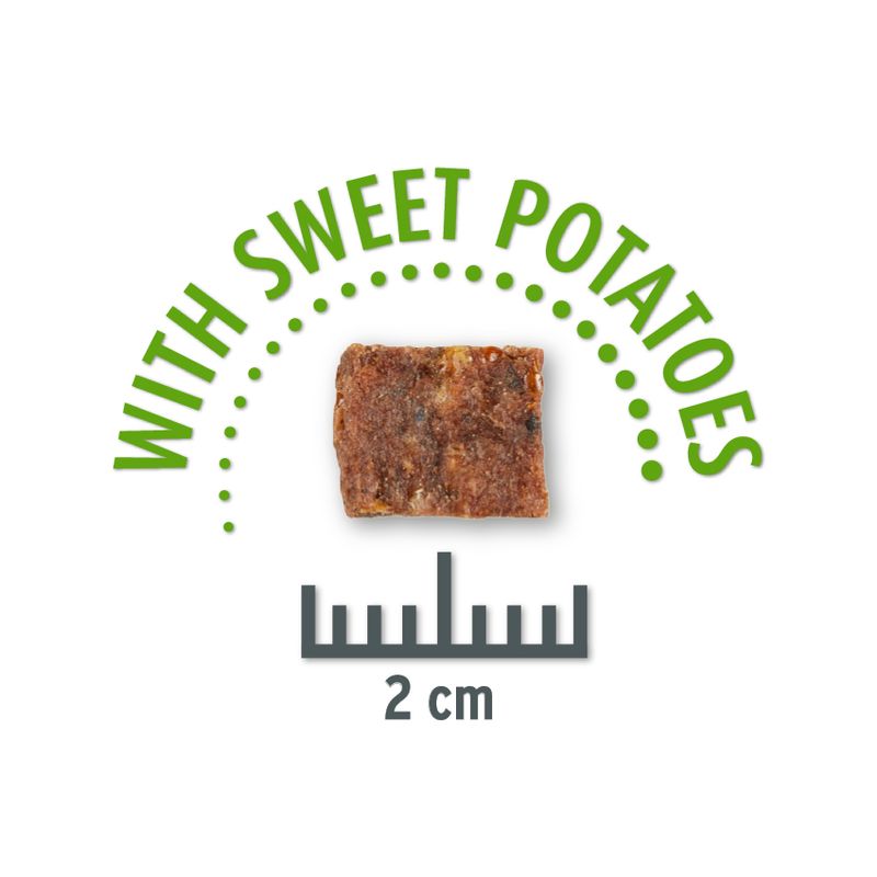 Sparpaket Concept for Life Insect Snack 3 x 100 g