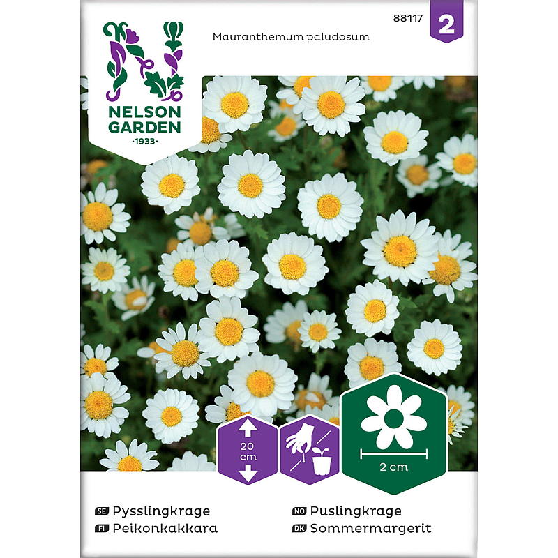 Nelson garden Frø Puslingkrage Hvit