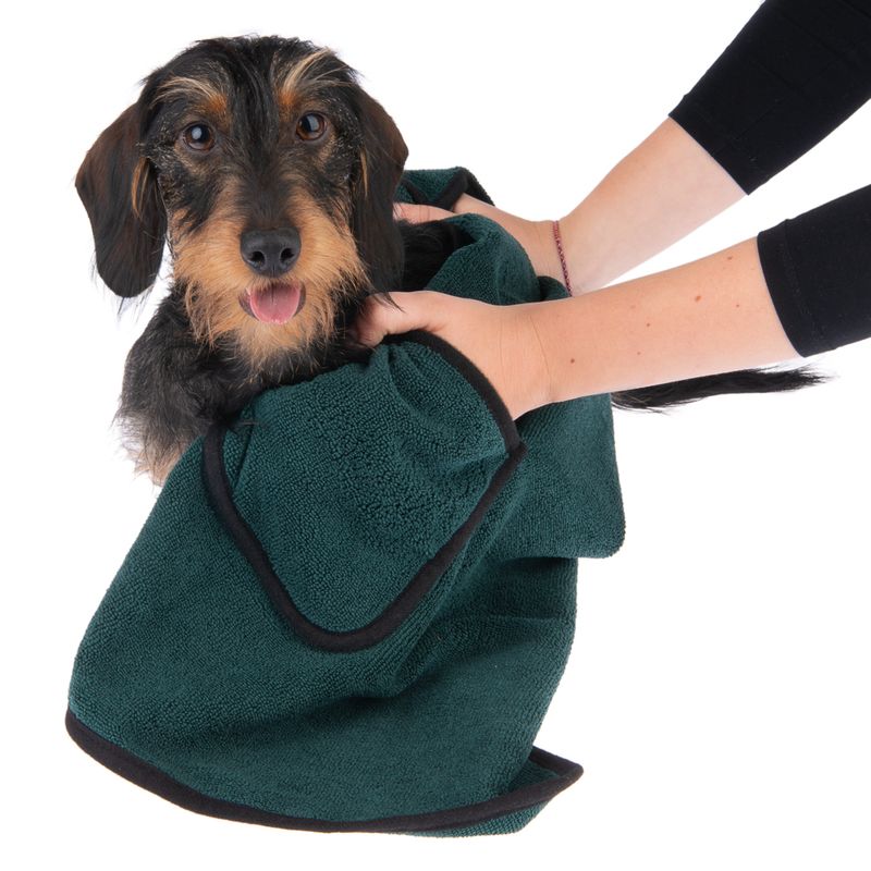 kooa Deluxe Mikrofaser Hundehandtuch zu TOP-Preisen