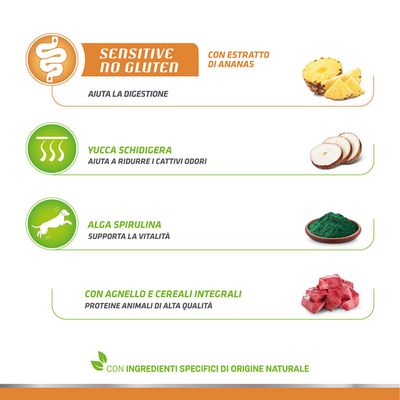 Natural Trainer Sensitive No Gluten Adult Small mit Lamm