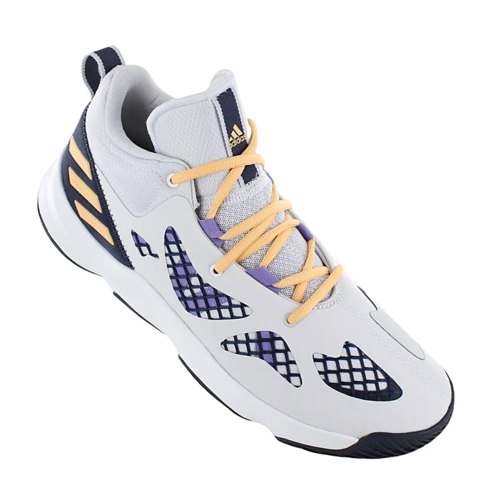 adidas PRO N3XT 2021 GY3805 / grau