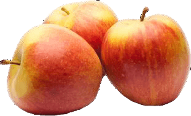 Äpfel rot Elstar
