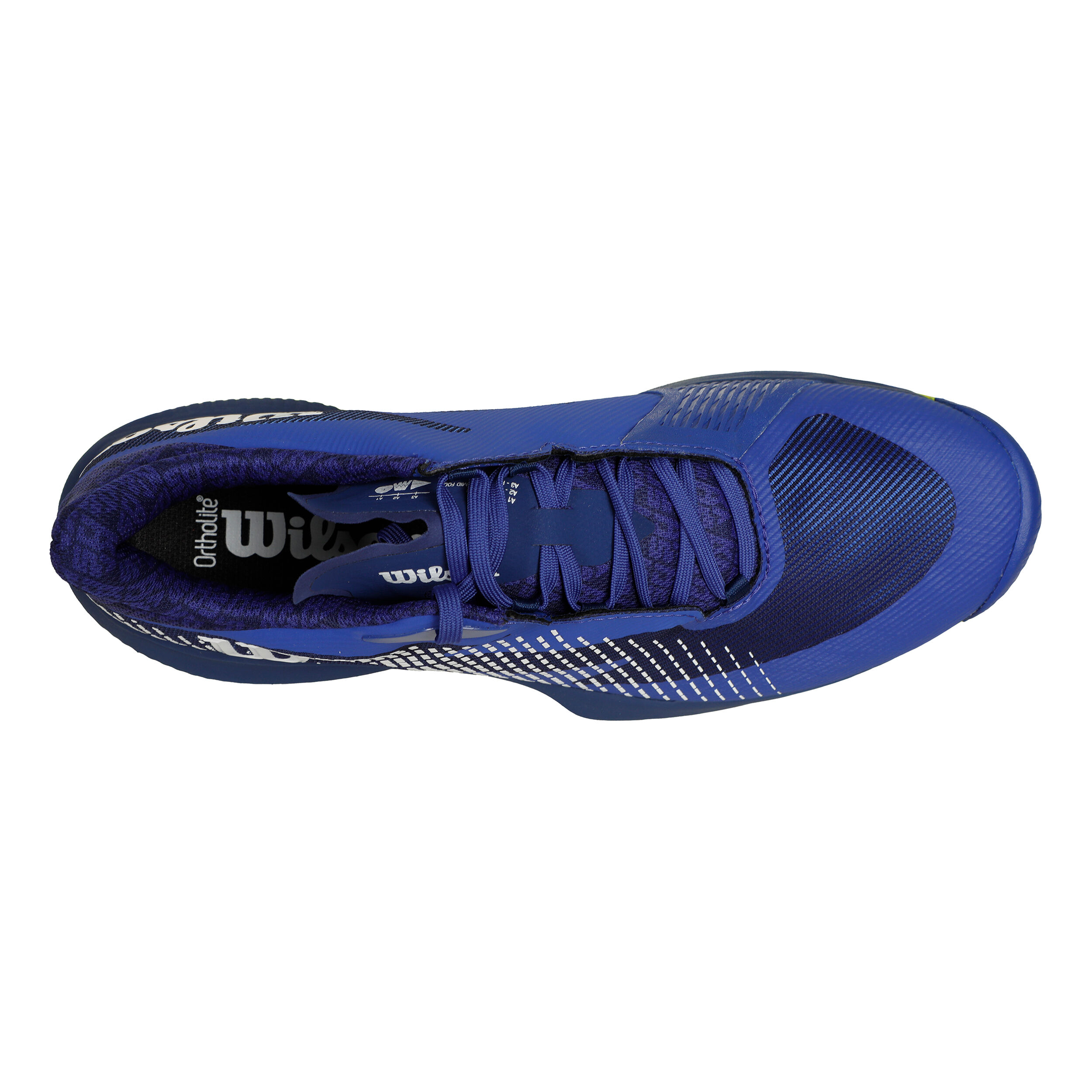Kaos Swift 1.5 Allcourtschuh Herren - Blau