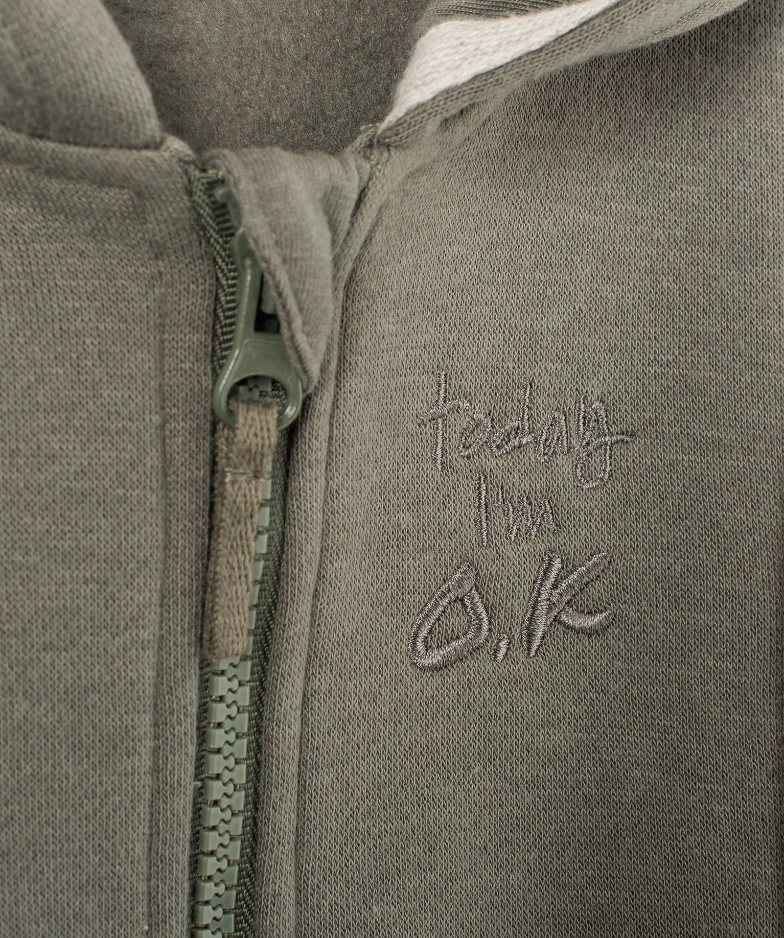Sweat zippé molletonné à capuche bébé Garçon vert | GEMO
