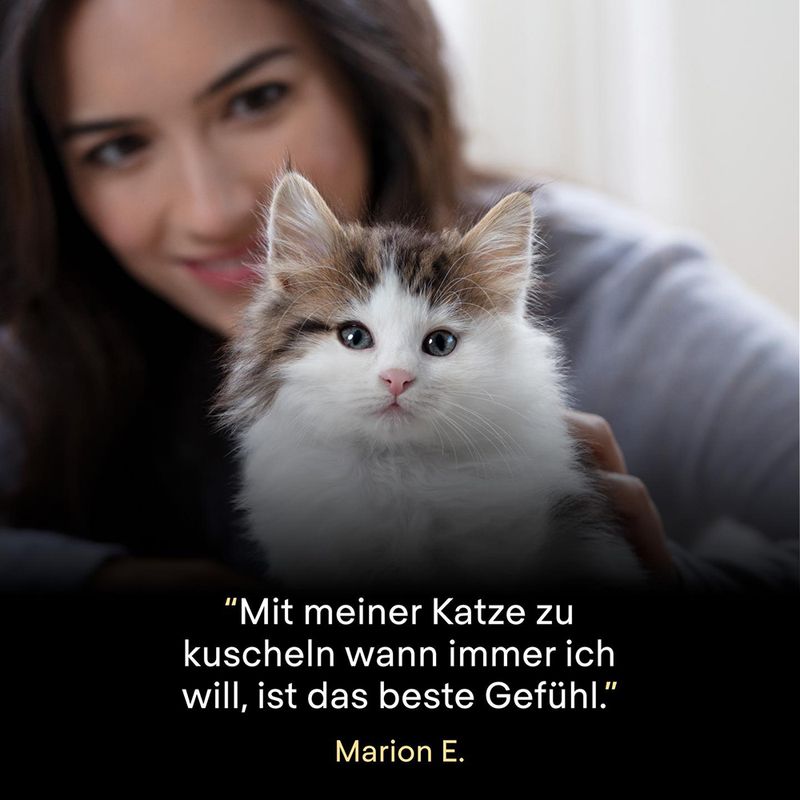 PURINA PRO PLAN LiveClear Kitten Truthahn zu