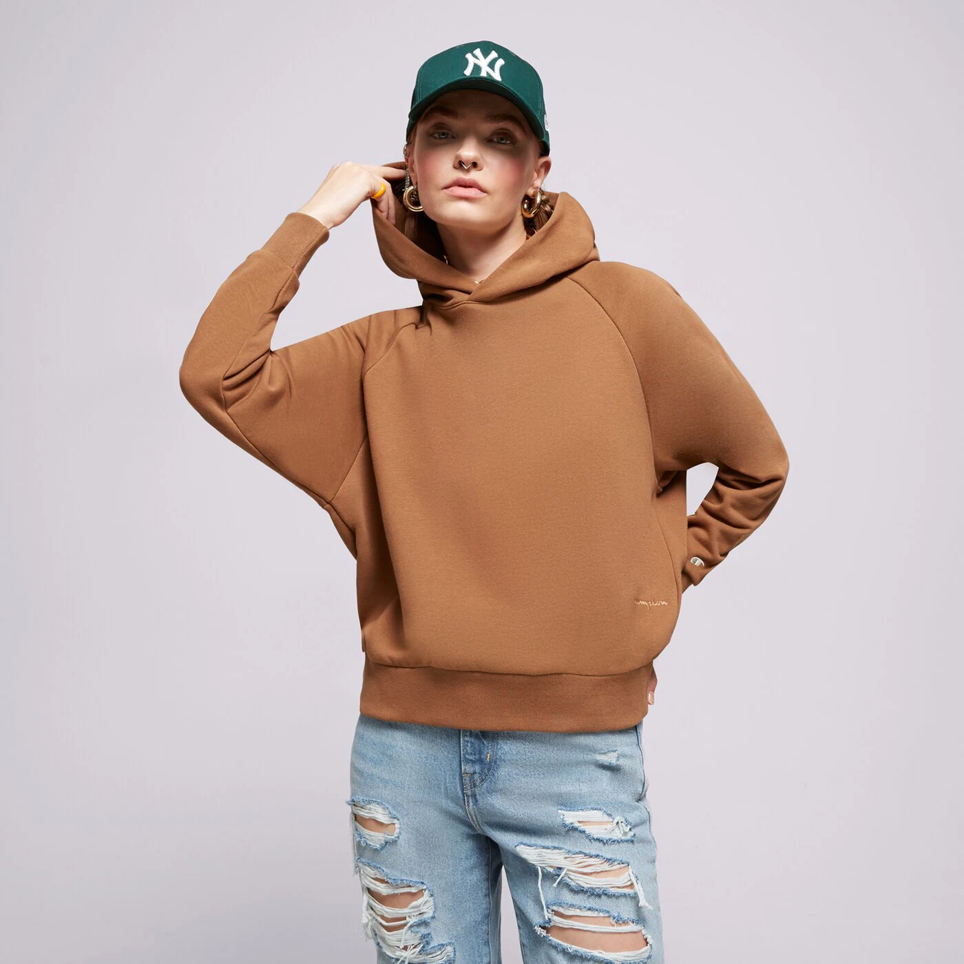 CHAMPION HOODIE HOODED SWEATSHIRT Braun