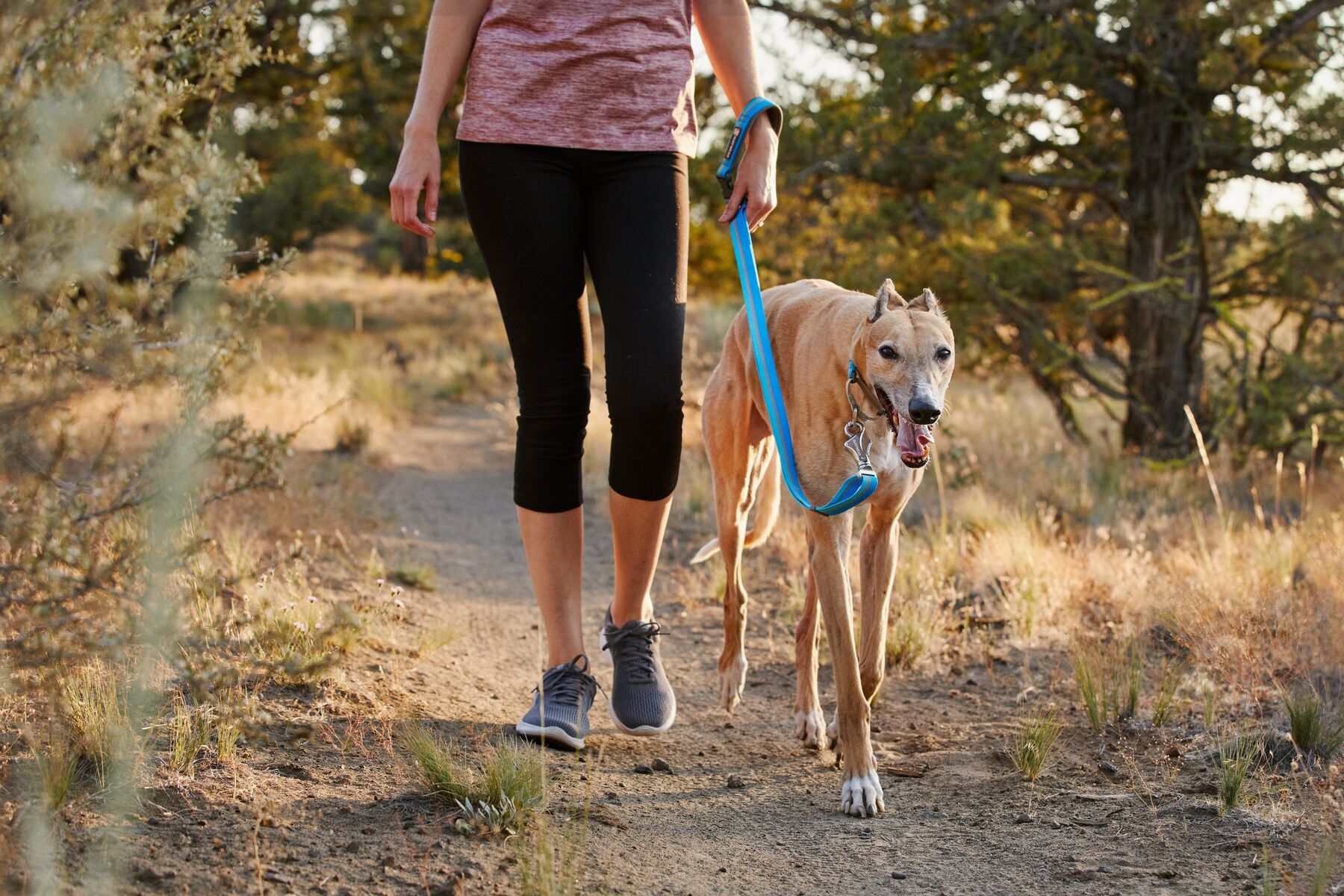 Ruffwear Hundeleinen Ruffwear Crag™ Leine blau