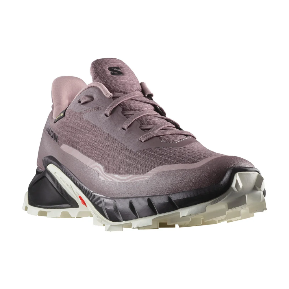 Salomon ALPHACROSS 5 GTX L47311000 / bunt