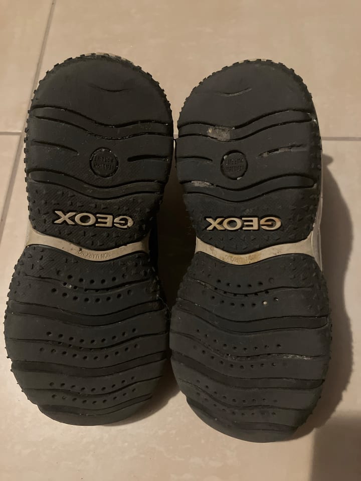 Geox Sneakers 