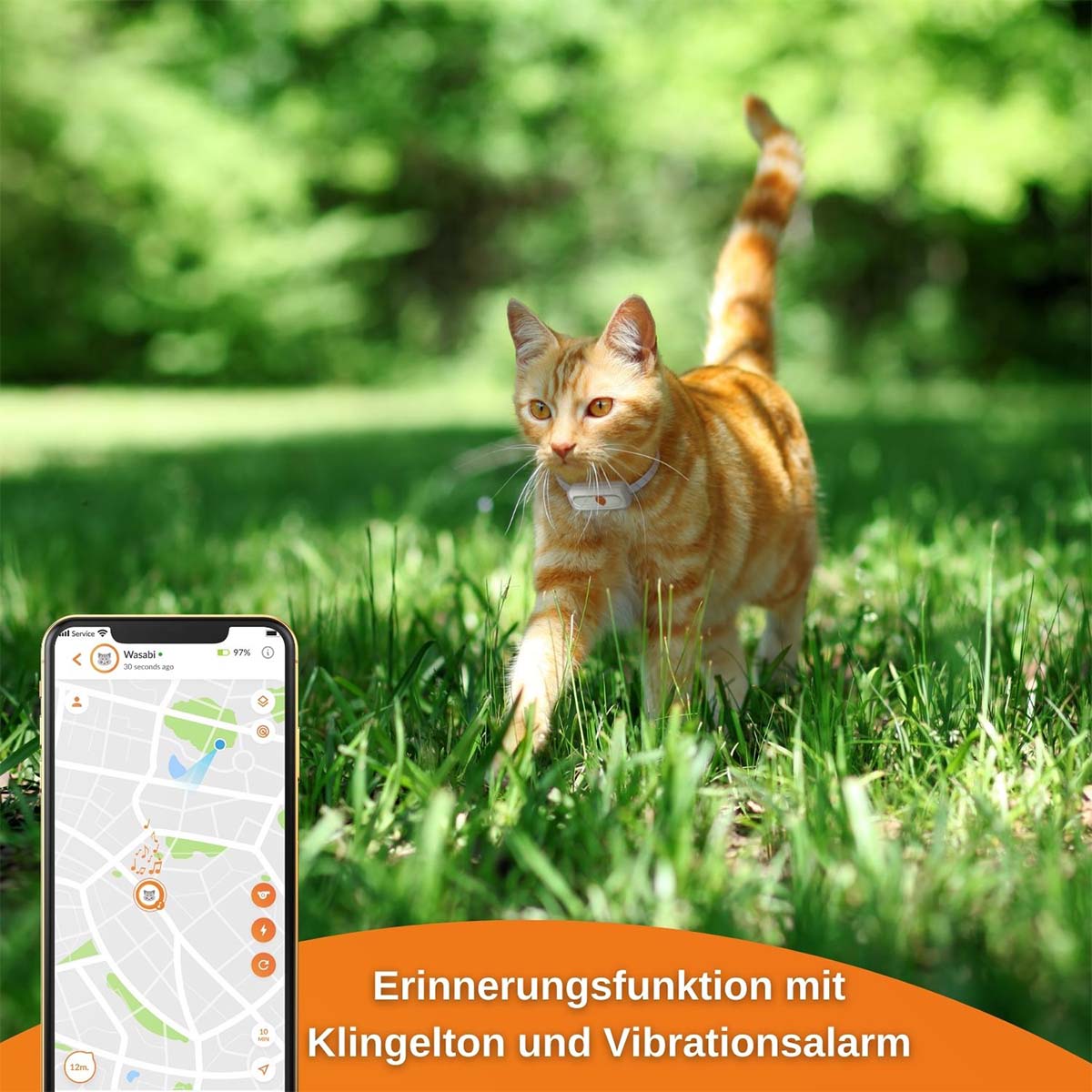 Weenect XS GPS Tracker für Katzen günstig kaufen