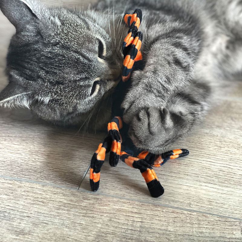 Aumüller Spinne Thekla Baldrian-Katzenspielkissen