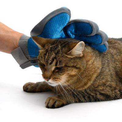 Fellpflege Handschuh