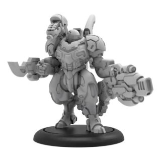Warcaster Iron Star Alliance Solo - Paladin Siegebreaker (resin/metal) (EN)