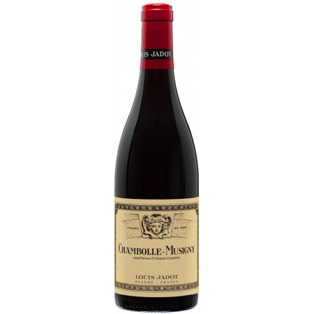 CHAMBOLLE MUSIGNY 2018 - LOUIS JADOT