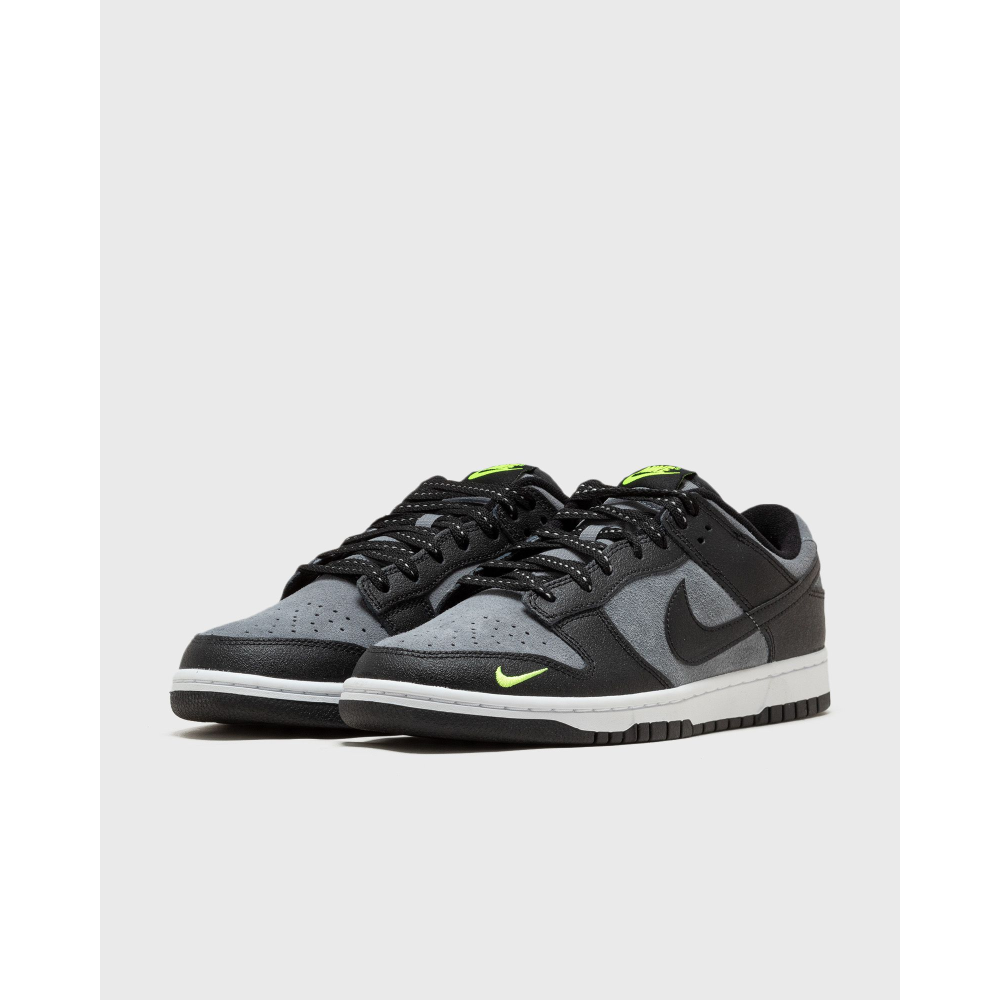 Nike Dunk Low FQ2205-001 / grau