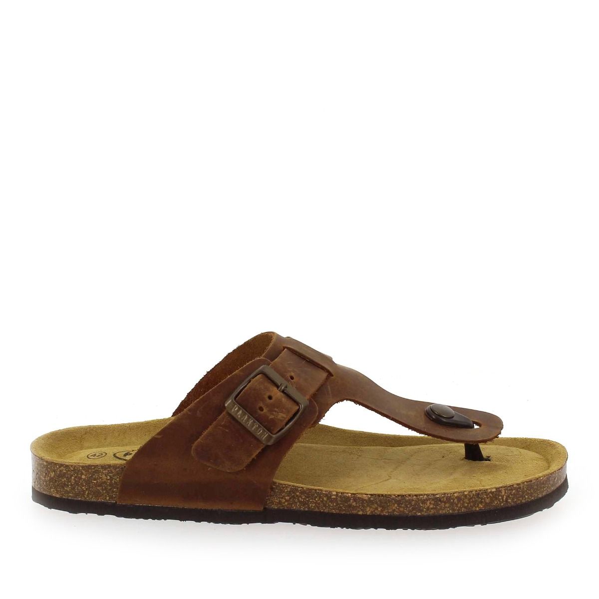 Plakton   BERDIE - Camel