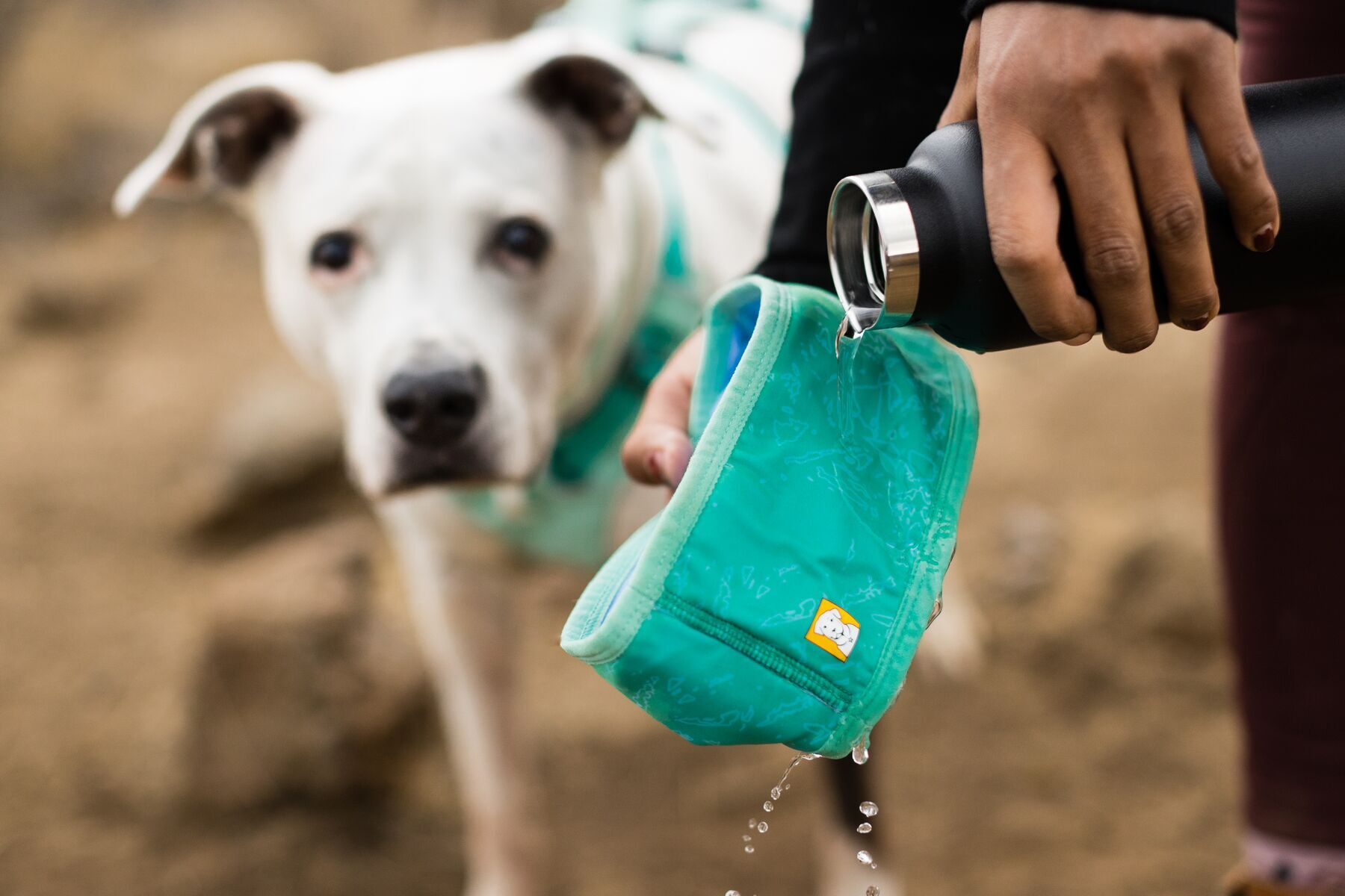 Ruffwear Hundewesten Ruffwear Swamp Cooler™ Kühlendes Halstuch blau/ türkis XS